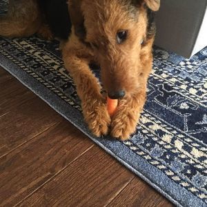 Meet your Posher, Tiara